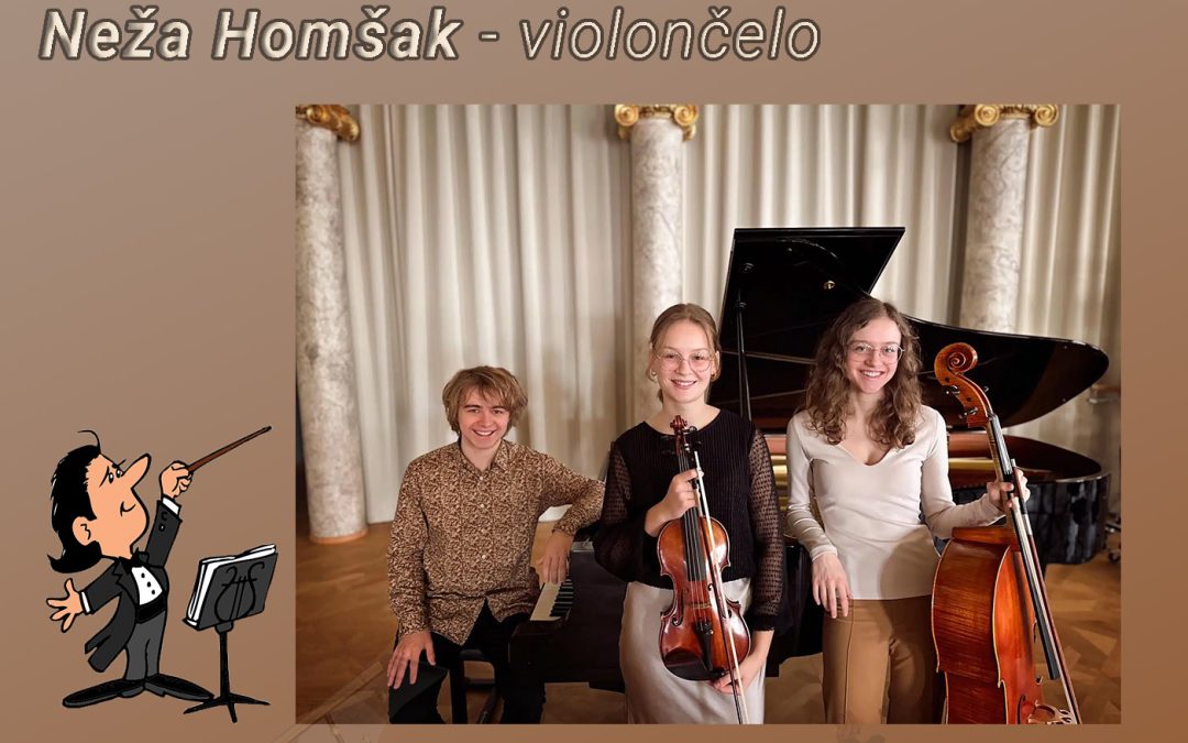 2. koncert šolskega abonmaja – Trio Misterioso